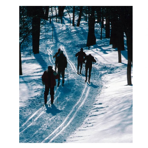 cross country skiing in verbal behavior  category